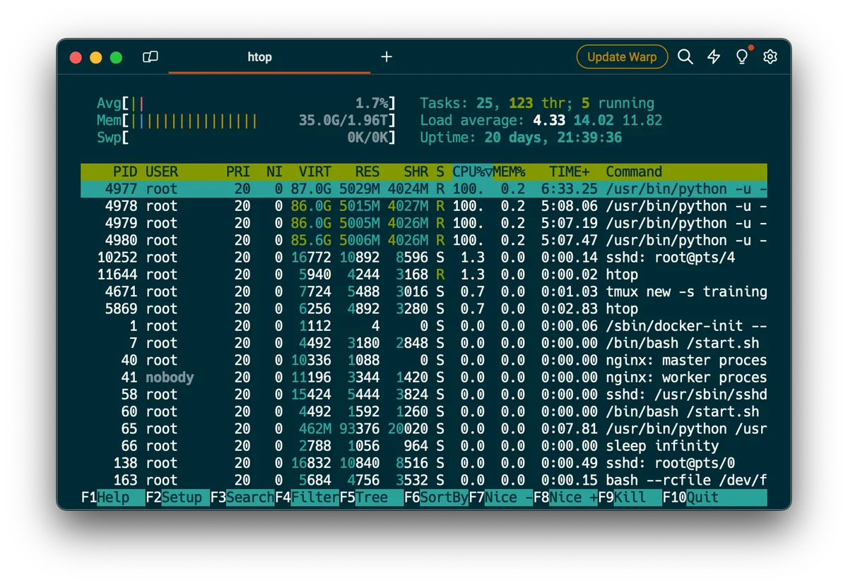 Screenshot of remote box htop